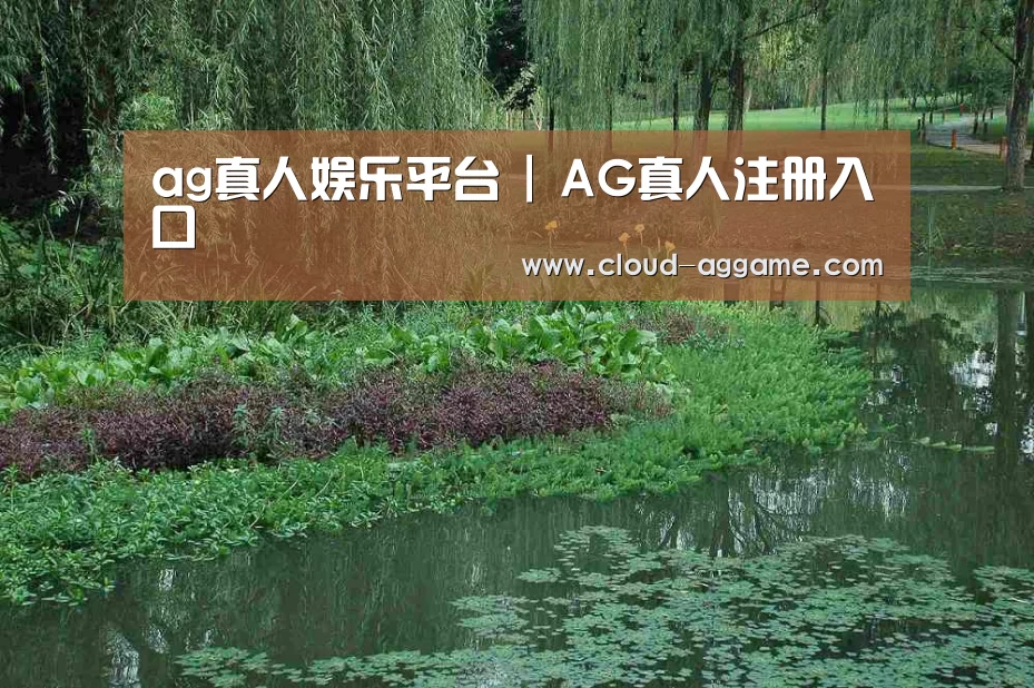 案例展示一(图1)