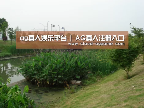 案例展示四(图1)