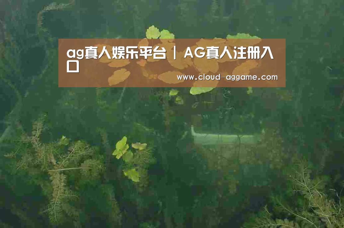 案例展示三(图1)