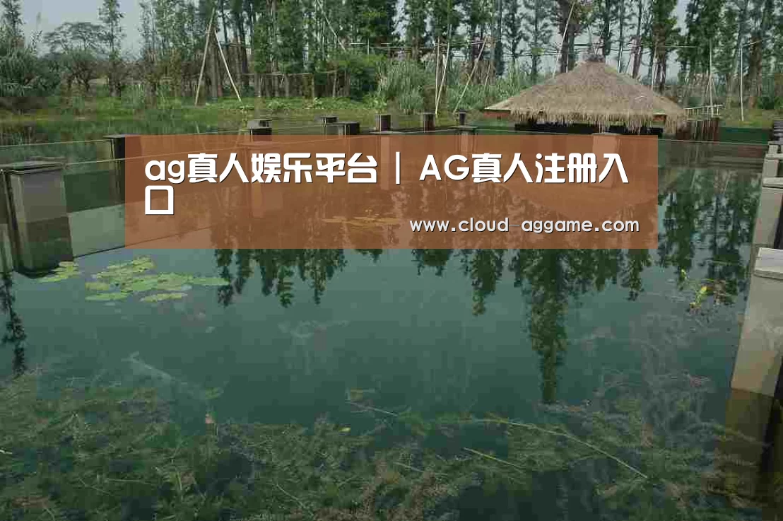 案例展示二(图1)
