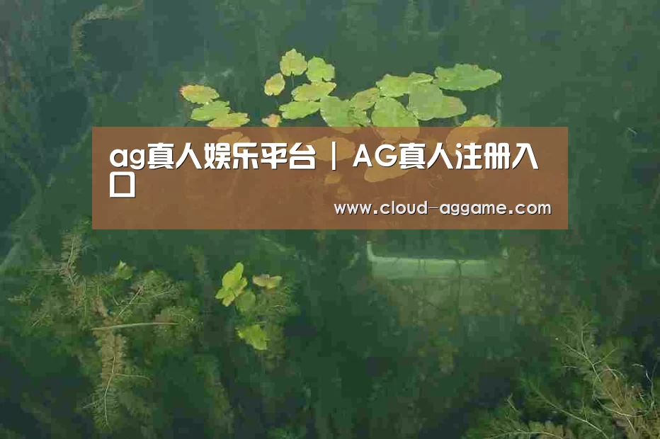 案例展示三