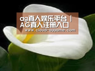 产品名称七