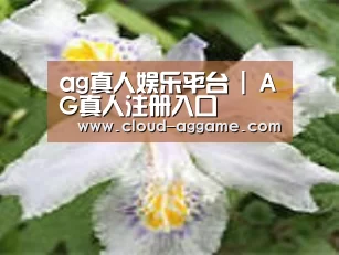 产品名称二