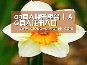 产品名称四