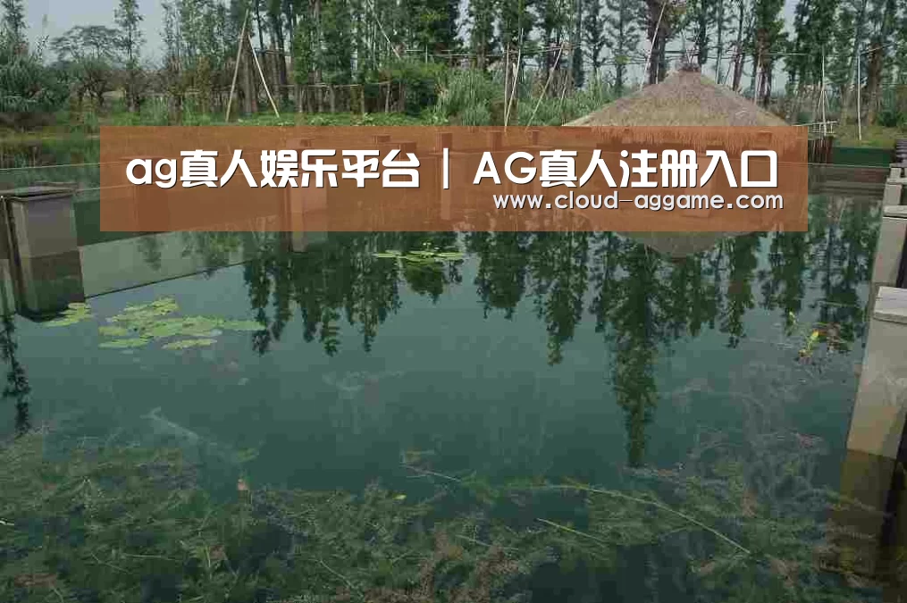 案例展示二