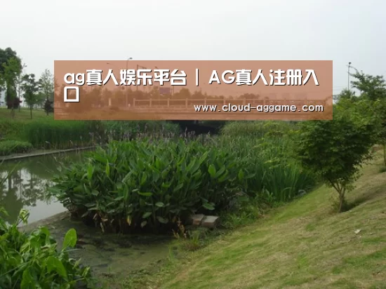 案例展示四
