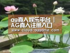产品名称一