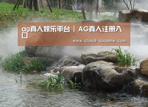 案例展示五
