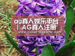 产品名称八