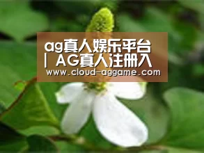 产品名称三