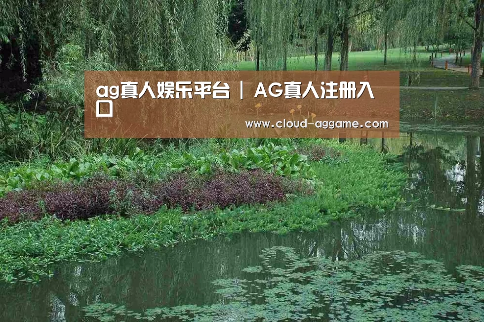 案例展示一