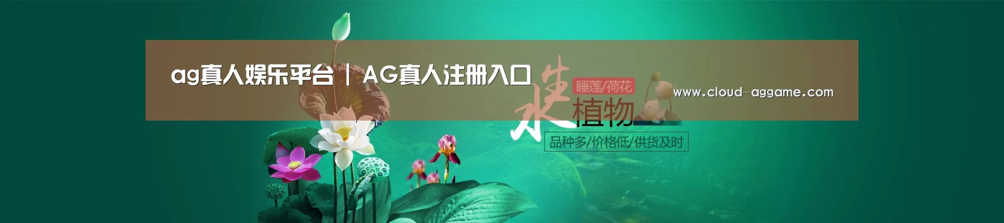 鲜花水草花卉网站模板