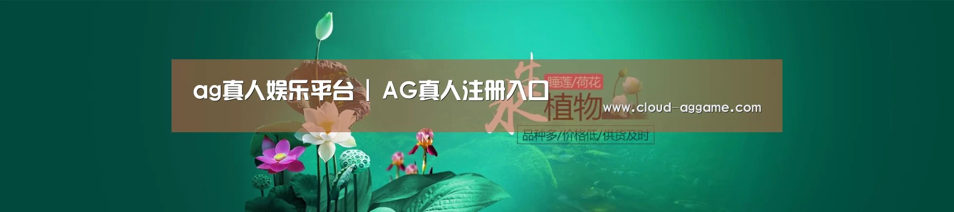 鲜花水草花卉网站模板