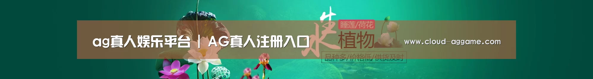 鲜花水草花卉网站模板