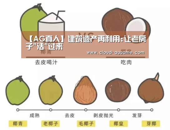 AG真人娱乐