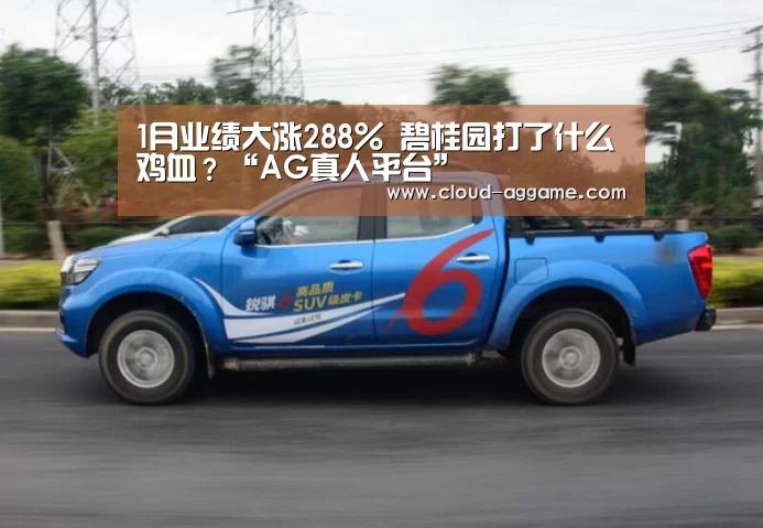AG真人互动