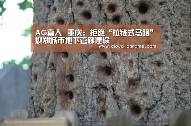 AG真人互动
