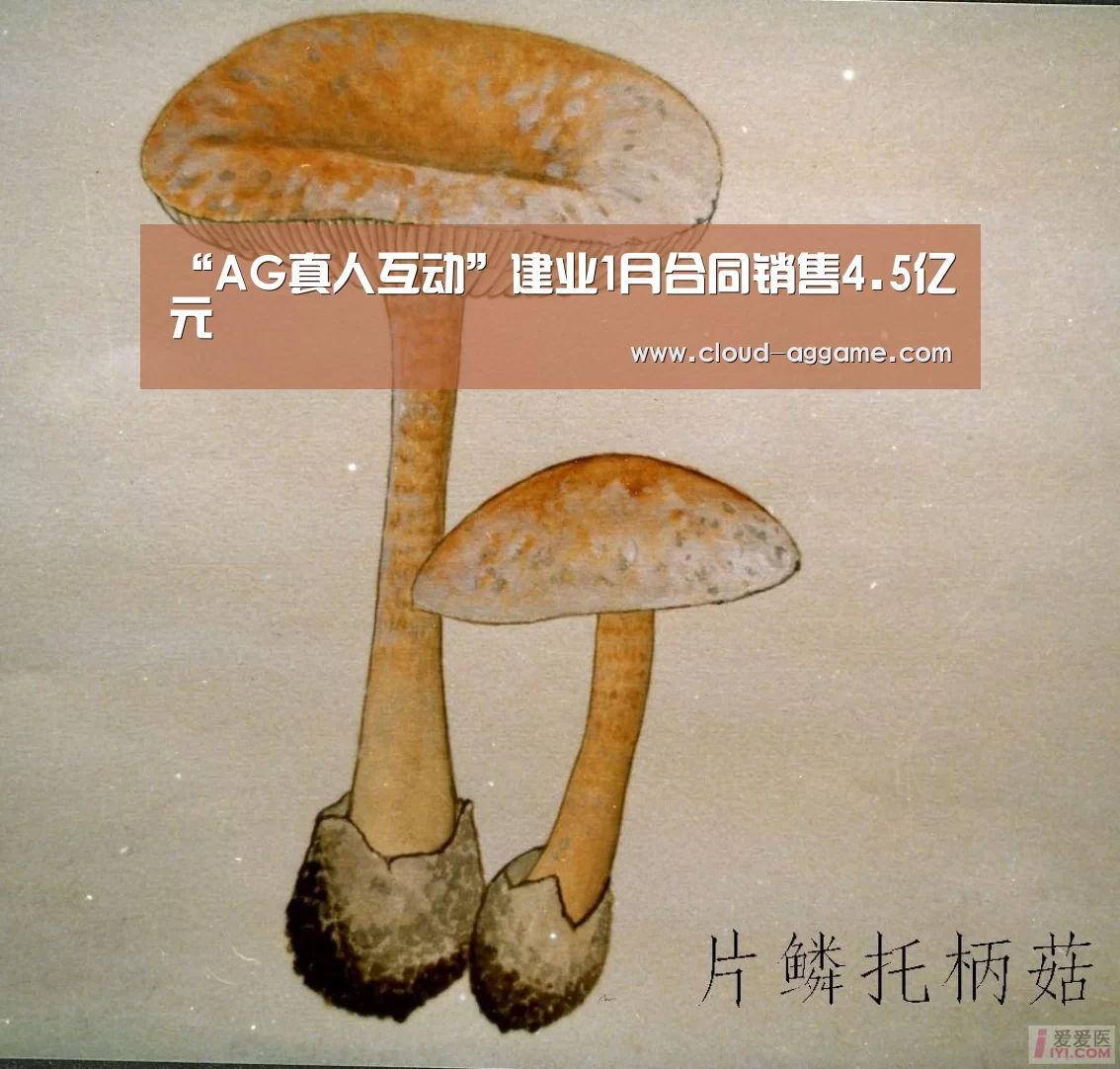 AG真人平台
