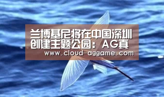 AG真人娱乐