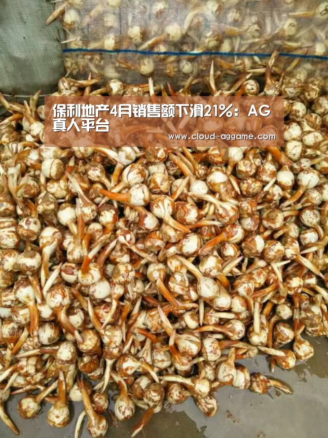 AG真人互动