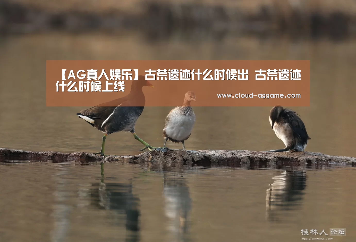 【AG真人娱乐】古荒遗迹什么时候出 古荒遗迹什么时候上线